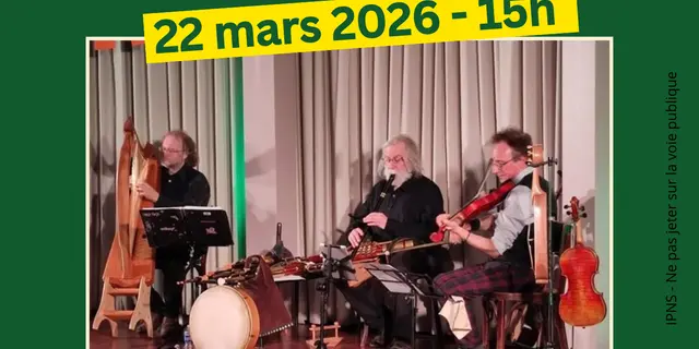 Affiche Evènement Soirée Fête irlandaise Saint Patrick Concert Vert Orange Festif Moderne   - 1