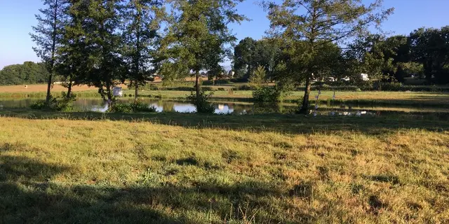 Etang communal de Concoret