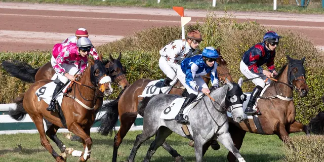 HIPPODROME MAURE DE BRETAGNE