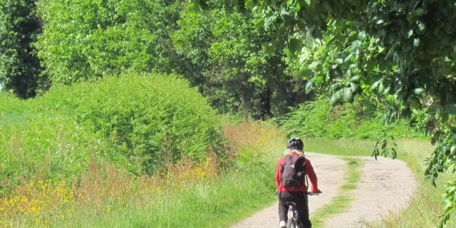 Cycliste chemins Montfort sur Meu