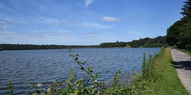 Etang du Pas du Houx