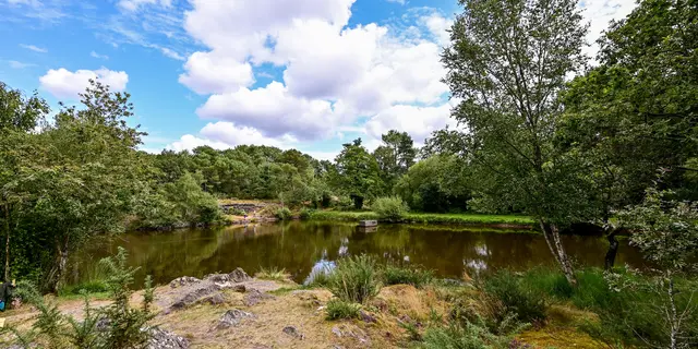 Les Landes de Monteneuf