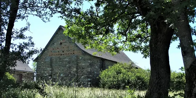 visite guidée