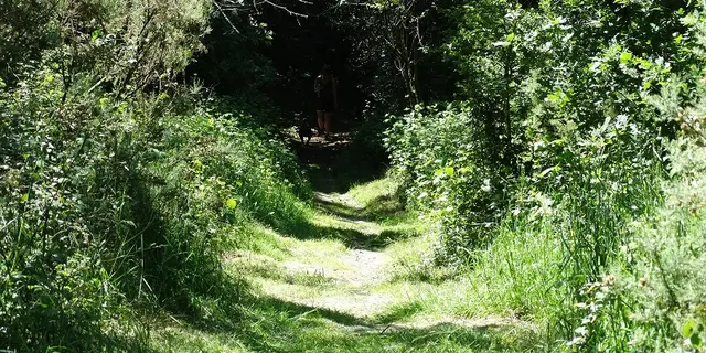 visite guidée