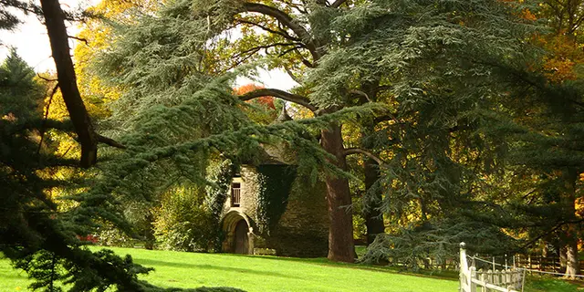 Manoir de Trégaray - Sixt sur Aff