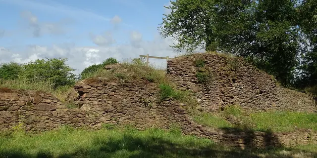 DSC01741