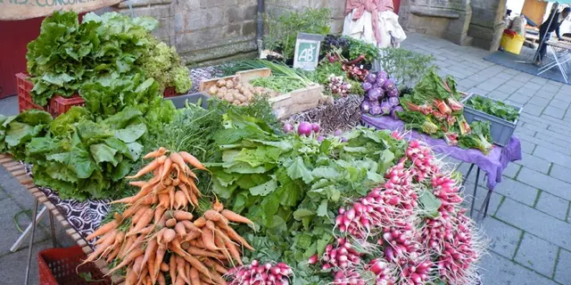 ferme_la-bouvrais_maraichage_brebis_Concoret_DestinationBroceliande