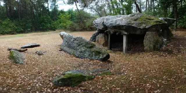 Domaine des Tablettes-Cournon-août-25