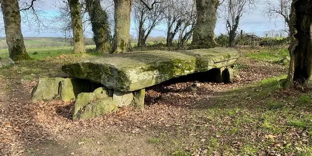 Dolmen de la Maison Trouvée - La Chapelle-Caro - Val d'Oust - Morbihan