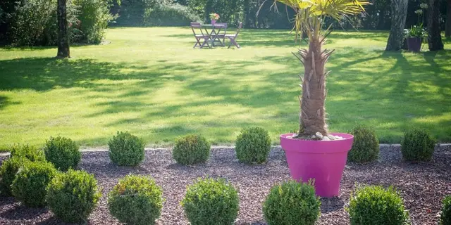 Duplex en Brocéliande_Plélan le Grand_jardin