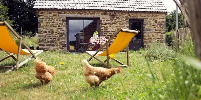 Gîte de l'Oncle Edmond 1