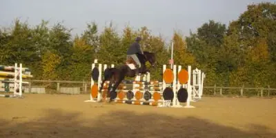 Ecole d’équitation de Bédée - La Nouaye