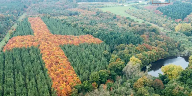 Château de Loyat - parc forestier - Brocéliande - Bretagne
