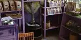 Epicerie fine de Fleur Angelle (3)