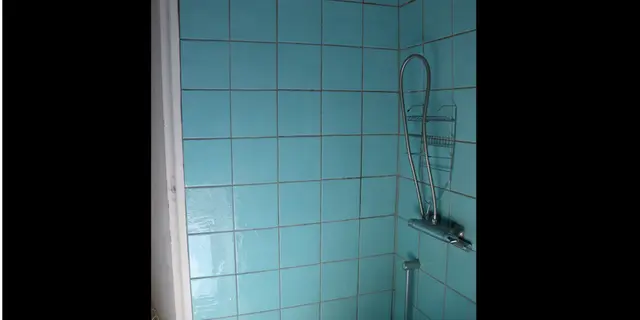 Epilobe douche