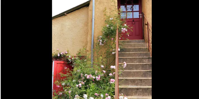 Epilobe escalier