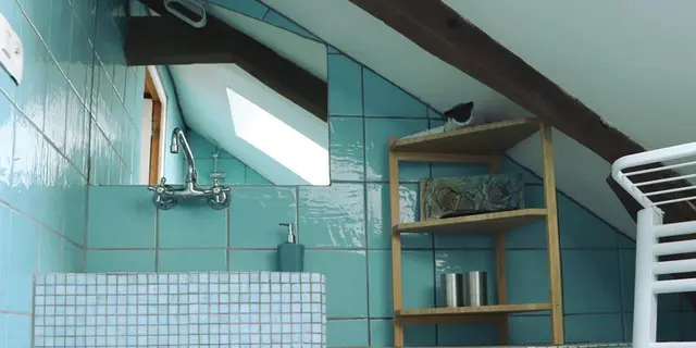 Epilobe salle d'eau
