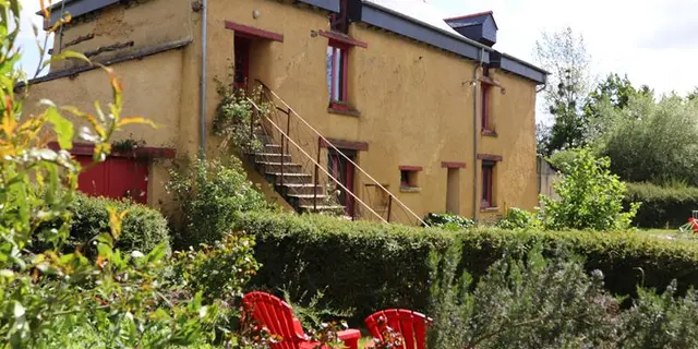 Epilobe vue jardin
