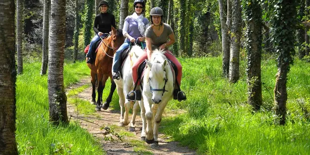 Equitation