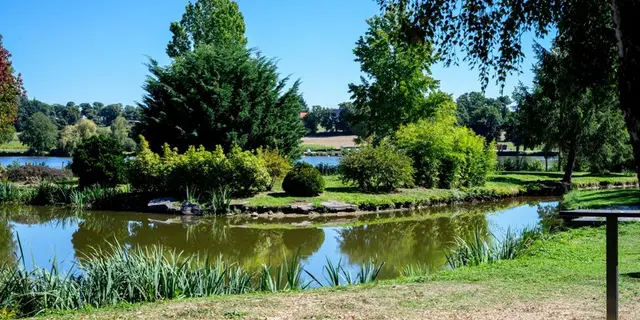 Etang - Copie