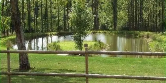 Etang