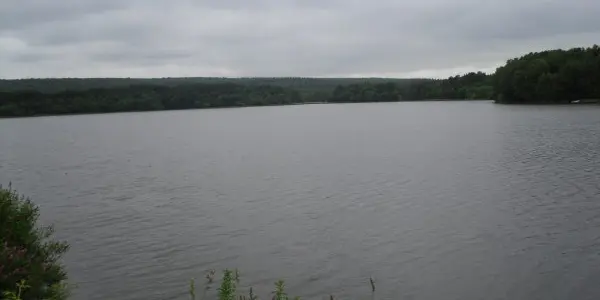 Etang de Paimpont - 2