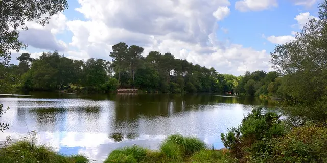 Etang-de-Tregu-Plelan-le-Grand
