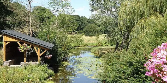 Etang de la Cane