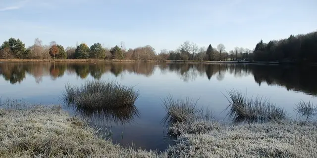 Etang de la Marette