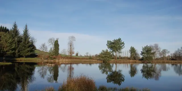 Etang de la Marette