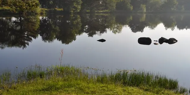Etang de la Marette (3)
