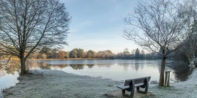 Etang de la Marette