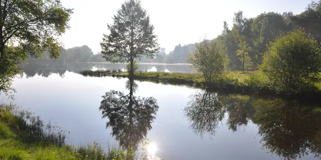 Etang de la Marette St Malon Sur Mel. Crédit photos Roger Blot (6)