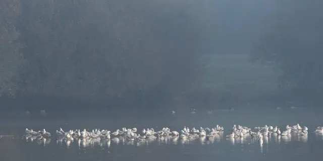 Etang de Blavon Bédée ©office de tourisme Lac de Trémelin (2)