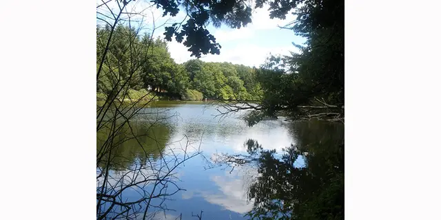 Etang-du-Patouillet---A