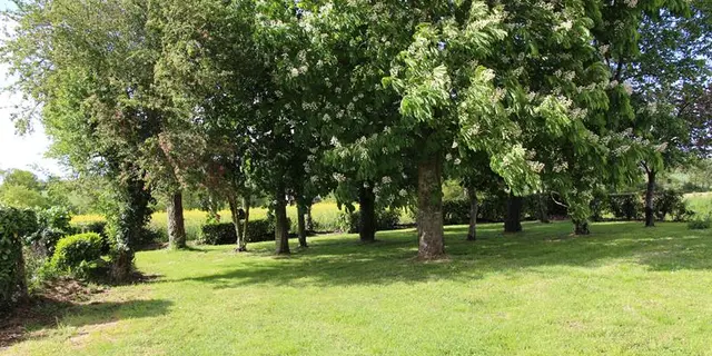 Extérieur (6)