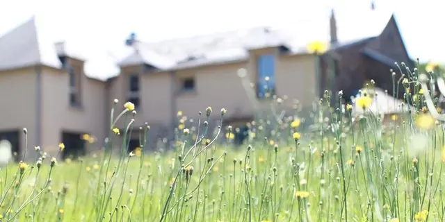 Extérieurs - Gîte la Hulotte - St Malon sur Mel