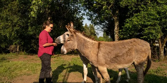 maraicher bio - anes - Gourhert - Ploërmel