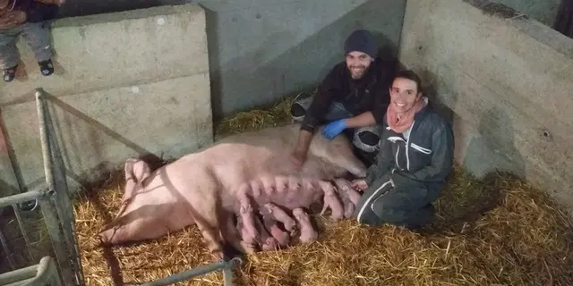 Ferme de Brénature