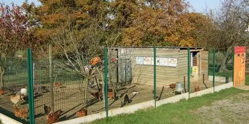 Ferme de Trénube