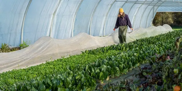 Ferme de la Rougeraie - Porducteurs locaux - Lanouée - Forges de Lanouée