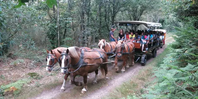 Ferme-équestre-Landelle-Porcaro-Brocéliande-Bretagne