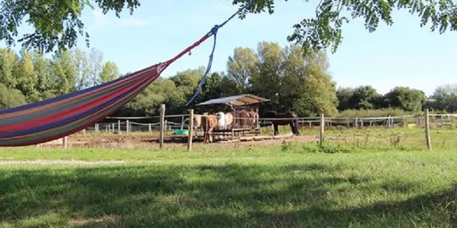 Ferme-equestre-d-Arwen