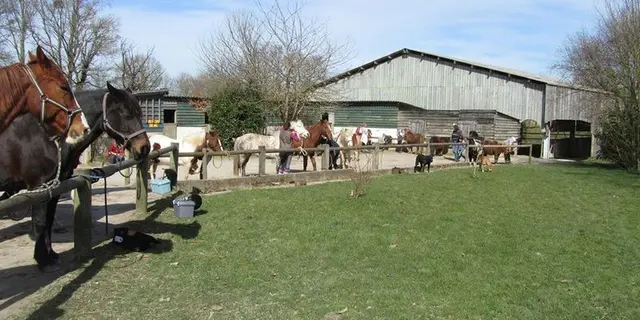 Ferme equestre le treglode