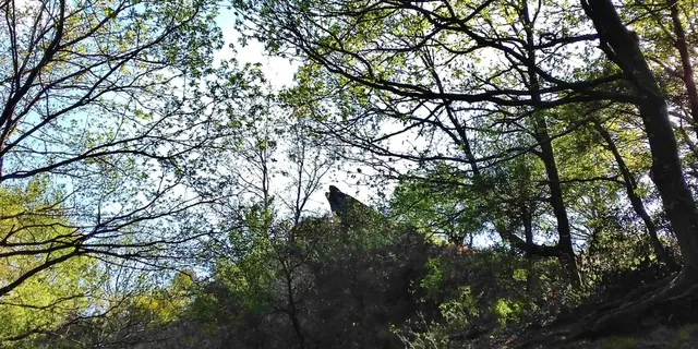 Le Vallon de la chambre au loup