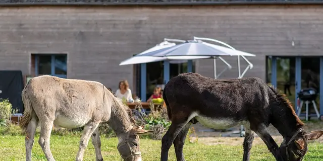 Domaine-de-Kernanou-Ploërmel-Destination-Brocéliande-Bretagne