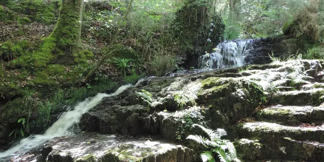 Gite-Le-Cellier-Paimpont-foret