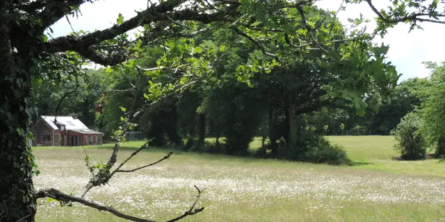 Gite-Le-Cellier-Paimpont-vue-lointaine-gite