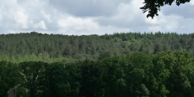 Gîte de Kerelec vue sur la campagne - Pleucadeuc - Morbihan - Bretagne