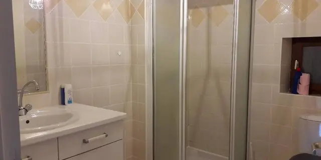 Gîte de la Haute Fenderie_Paimpont_salle d'eau et WC